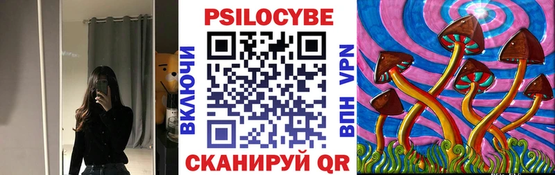 kraken зеркало Сенгилей Галлюциногенные грибы Cubensis